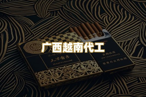 广西越南代工